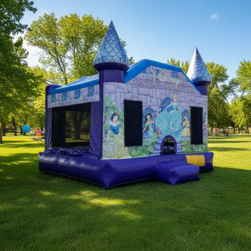 Disney Princess bounce house in a park